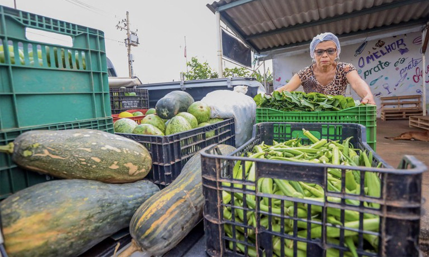 Nutrição em Uma Cesta Básica: Guia Completo para Alimentação Saudável e Econômica
